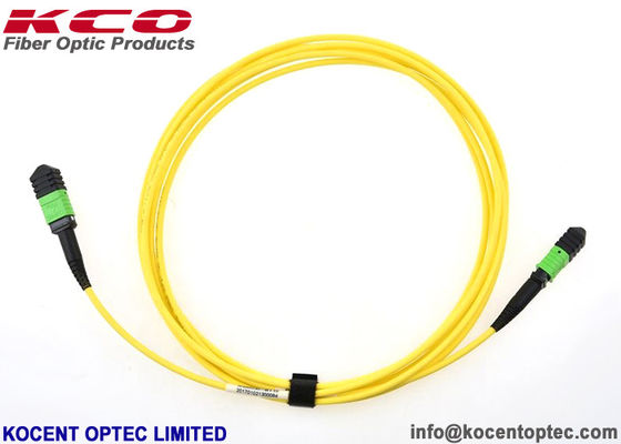 8cores 12cores 24cores LSZH Type A B C MPO MTP Patch Cord Single Mode MPO Fiber Patch Cable