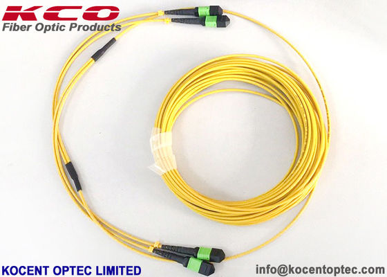 MPO APC 24fo 48core G657A1 엘리트 삽입 손실 MTP 광섬유 트렁크 패치 케이블
